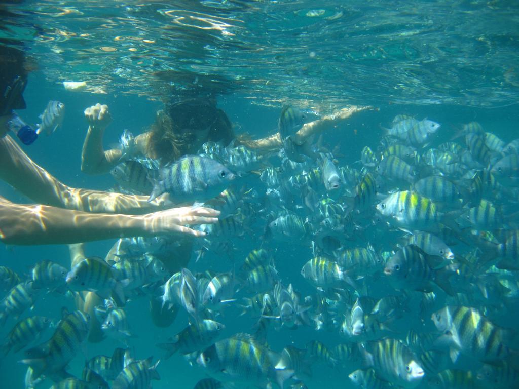 Pousada Recanto Dos Madda'S Paraty Ngoại thất bức ảnh