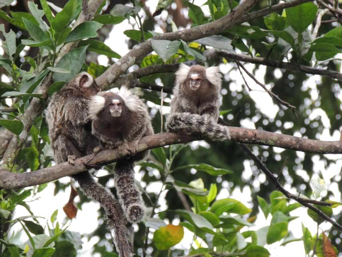 Pousada Recanto Dos Madda'S Paraty Ngoại thất bức ảnh