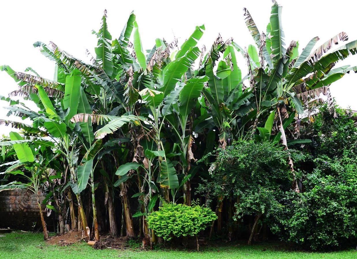 Pousada Recanto Dos Madda'S Paraty Ngoại thất bức ảnh