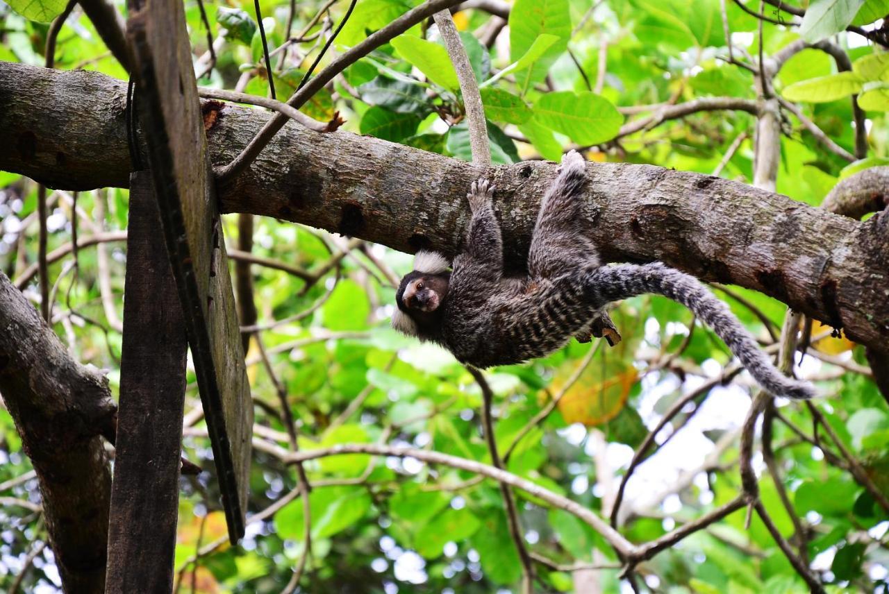 Pousada Recanto Dos Madda'S Paraty Ngoại thất bức ảnh